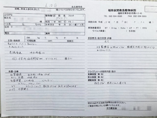 菊の死亡診断書